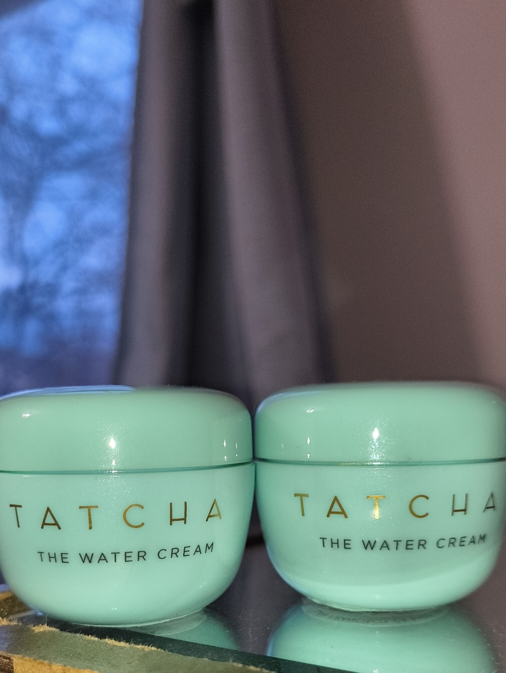 Tatcha The Water Cream Two .34 Ounce Creams